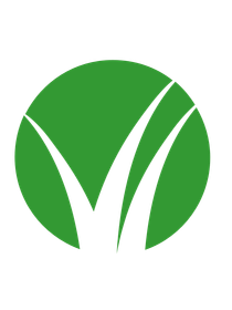 Virginia Palacios photo