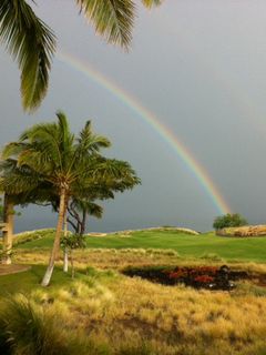 Linda Alexander photo